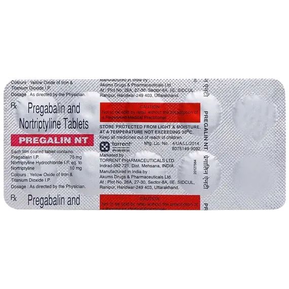 pregalin nt tablet 10's